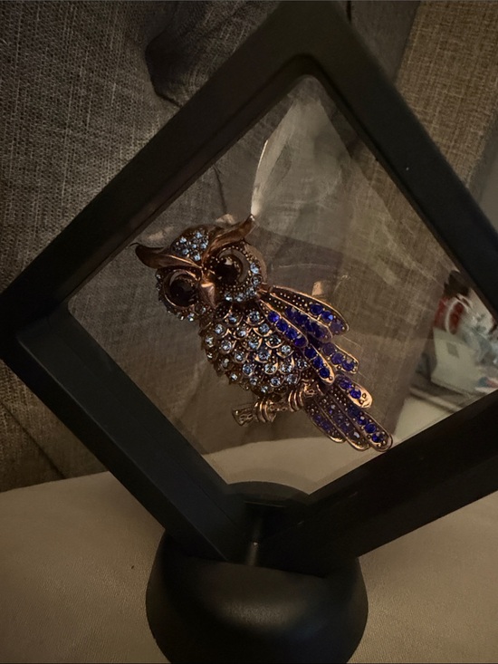 Jewelry - Rhinestone Owl Brooch with Blue Crystals